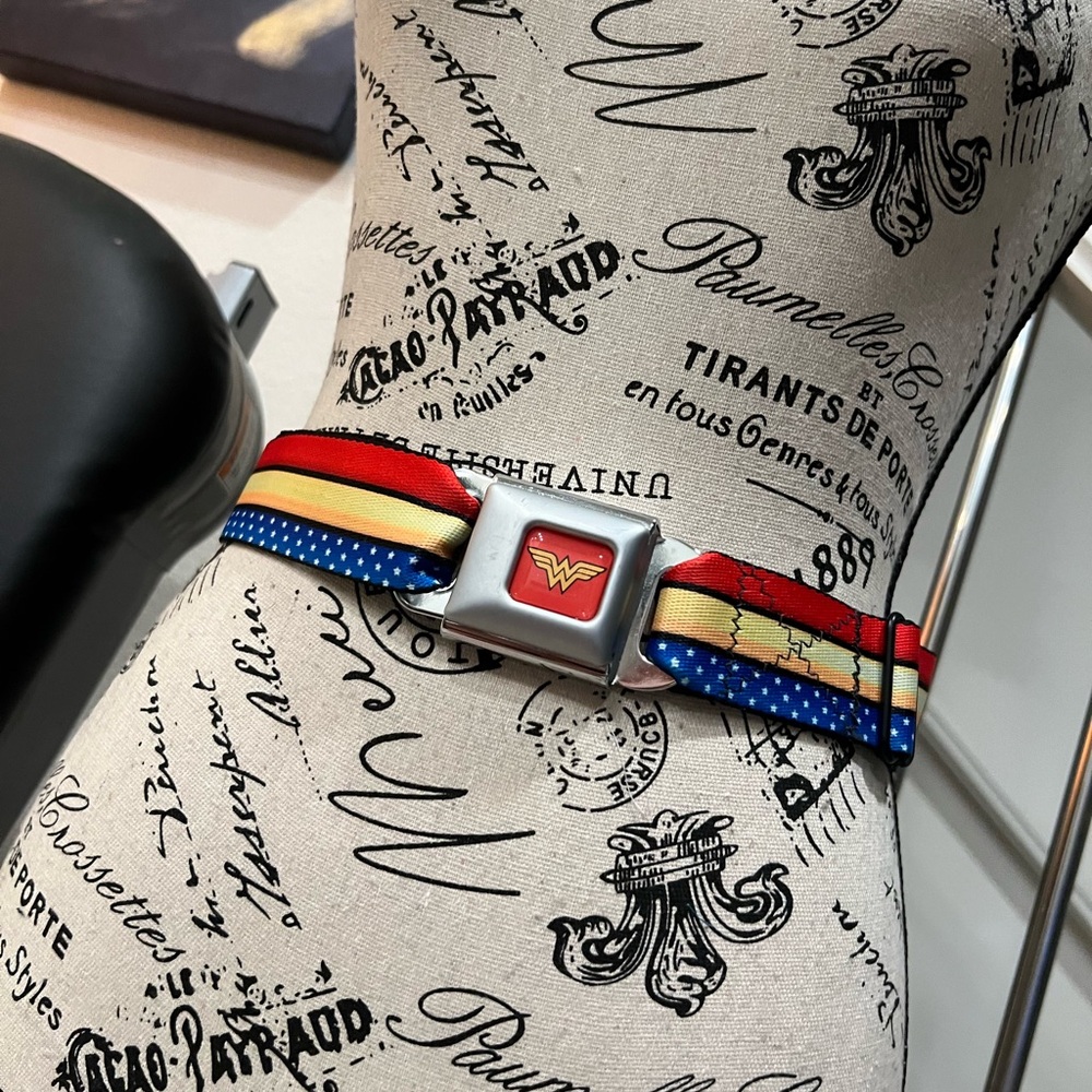 Buckle-Down Wonder Woman Belt - Red, Blue, Yellow